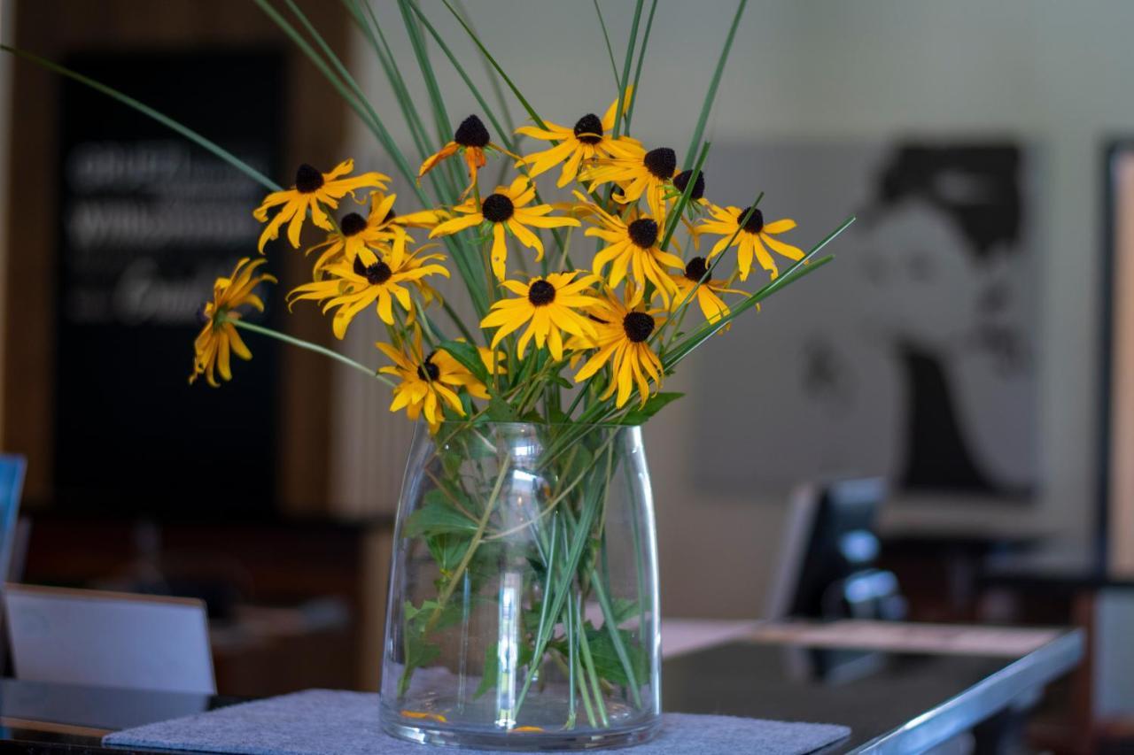 Vitalhotel Quellengarten - Bed & Breakfast Lingenau Eksteriør billede